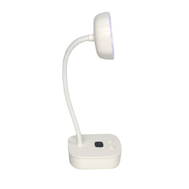 Dırnaq lampa bazarının tendensiyaları